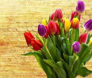 Kwiaty, Bukiet, Kolorowe, Tulipany, Nierozwinięte
