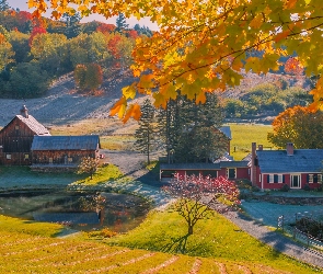 Stany Zjednoczone, Drzewa, Staw, Wieś, Droga, Domy, Stan Vermont, Nowa Anglia, Jesień