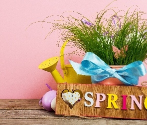 Wielkanoc, Spring, Napis, Pisanki, Konewka, Kompozycja, Wiadro, Trawa, Wiosna, Tabliczka