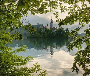 Gałęzie, Zieleń, Jezioro Bled, Słowenia, Wyspa Blejski Otok, Kościół Zwiastowania Marii Panny