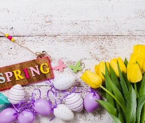 Spring, Napis, Pisanki, Wielkanoc, Konewka, Tulipany