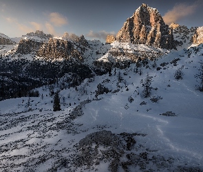 Góry, Zima, Gmina Cortina d’Ampezzo, Drzewa, Góry Dolomity, Przełęcz Falzarego Pass, Włochy
