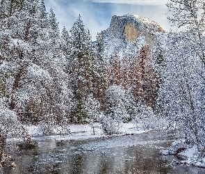 Stan Kalifornia, Rzeka Merced River, Stany Zjednoczone, Zima, Drzewa, Park Narodowy Yosemite, Las, Góry