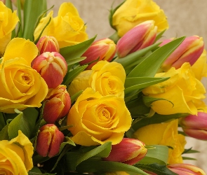Kwiaty, Tulipany, Róże, Żółte
