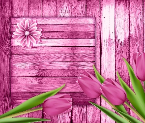 Tulipany, 2D, Deski, Różowe