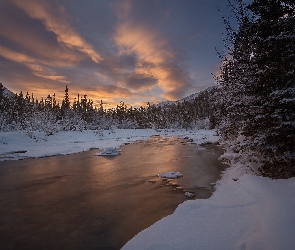 Kanada, Drzewa, Zima, Zachód słońca, Śnieg, Rzeka, Yukon, Wheaton Valley, Wheaton River Wilderness Retreat