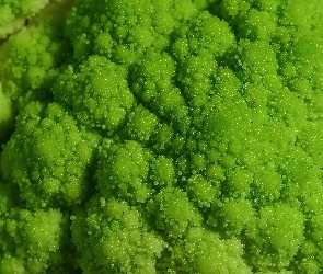 Brokuł, Zielony
