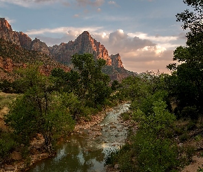 Drzewa, Stany Zjednoczone, Góry Watchman, Park Narodowy Zion, Rzeka Virgin River, Stan Utah