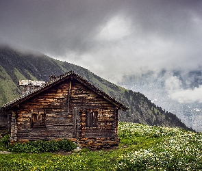 Wioska Grindelwald, Schronisko, Szwajcaria, Góry Alpy Berneńskie, Domek, Kanton Berno, Mgła, Drewniany