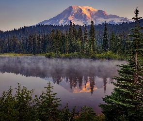 Mgła, Drzewa, Las, Świerki, Góra, Jezioro Reflection Lakes, Szczyt Mount Rainier, Stan Waszyngton, Park Narodowy Mount Rainier, Stany Zjednoczone