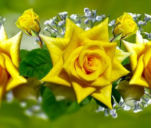Kwiaty, Grafika, Róże, Żółte