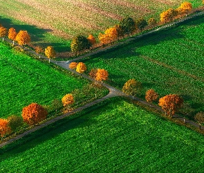 Pola, Jesień, Drzewa, Drogi