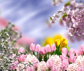 Kwiaty, Grafika, Wiosna