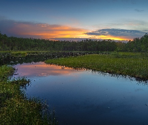 Drzewa, Las, Zachód słońca, Jezioro