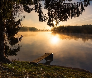 Pomost, Wschód słońca, Hufingen, Drzewa, Niemcy, Jezioro Riedsee, Badenia-Wirtembergia