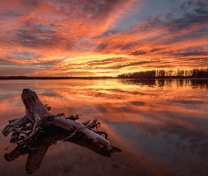 Jezioro, Stany Zjednoczone, Park Stanowy Cherry Creek, Kolorado, Zachód słońca, Miasto Aurora, Chmury, Konar