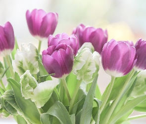 Kwiaty, Rozmycie, Białe, Tulipany, Liliowe