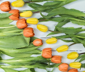 Liście, Tulipany, Żółte, Pomarańczowe