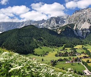 Austria, Gmina Ramsau am Dachstein, Roślinność, Domy, Dolina, Góry Alpy Salzburskie