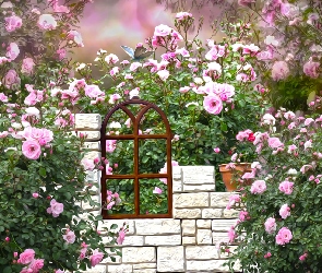 Ogród, Grafika, Mur, Okno, Róże