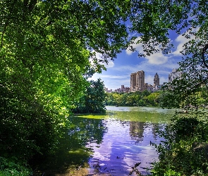 Drapacze chmur, Jezioro, Nowy Jork, Drzewa, Park miejski Central Park, Stany Zjednoczone, Dzielnica Manhattan