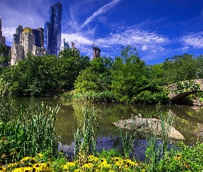 Central Park, Nowy Jork, Stany Zjednoczone, Drzewa, Most Gapstow, Staw, Drapacze chmur, Dzielnica Manhattan
