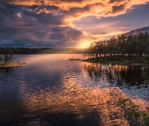 Drzewa, Wysepka, Gmina Ringerike, Chmury, Jezioro, Norwegia, Wschód słońca