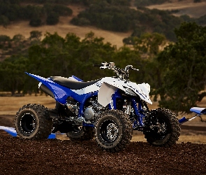 Quad, Yamaha YFZ 450