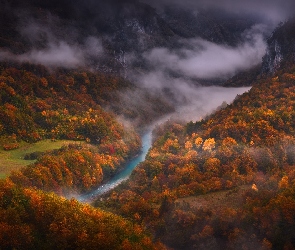 Wąwóz, Kanion Rzeki Tary, Czarnogóra, Mgła, Drzewa, Jesień, Góry, Rzeka Tara