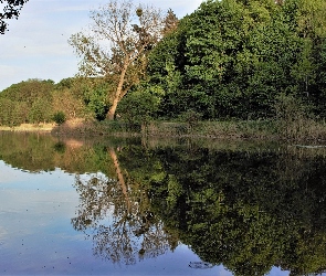 Malta, Wiosna, Drzewa, Poznań, Staw Olszak