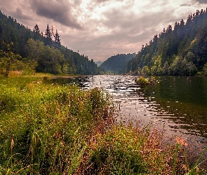 Wzgórza, Lasy, Rzeka, Góry