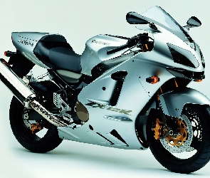 Kawasaki Ninja ZX-12R, Jaszczur