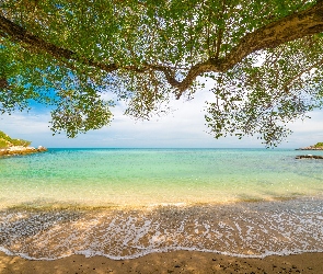 Drzewa, Piasek, Morze, Plaża
