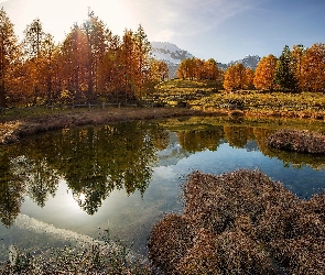Góry, Odbicie, Staw, Drzewa, Jesień