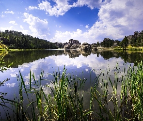 Skały, Trzciny, Trawy, Drzewa, Jezioro