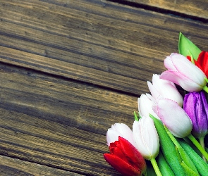 Kwiaty, Deski, Tulipany, Kolorowe