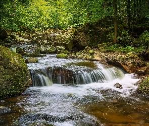 Kamienie, Las, Saksonia, Niemcy, Park Narodowy Harzu, Rzeka Ilse