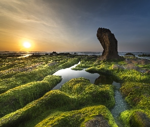 Wietnam, Plaża Nam O Beach, Zachód słońca, Prowincja Da Nang, Kamienie, Skały, Wodorosty, Mech, Morze, Roślinność