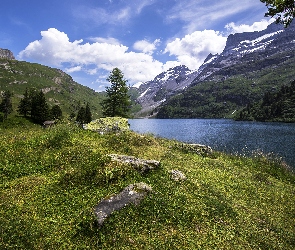 Kanton Berno, Szwajcaria, Drzewa, Jezioro Engstlensee, Kamienie, Trawa, Góry