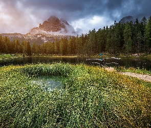 Góry Dolomity, Włochy, Jezioro Antorno Lake, Prowincja Belluno, Mostek, Masyw Tre Cime di Lavaredo, Drzewa, Trawy