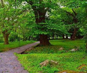 Park, Latarnia, Alejka, Drzewa
