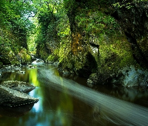 Rzeka Conwy, Park Narodowy Snowdonia, Wąwóz Fairy Glen, Walia, Skały, Wioska Betws y Coed, Drzewa, Kamienie