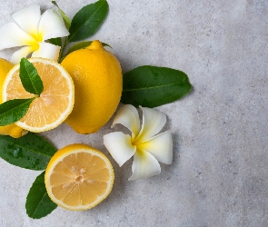 Cytryny, Plumeria