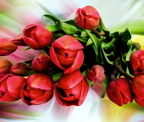 Grafika, Tulipany, Kwiaty, Czerwone
