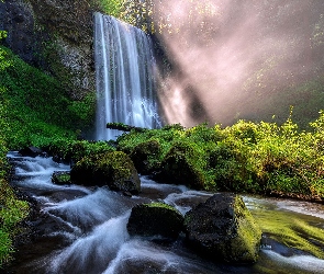 Rzeka Kolumbia, Las, Drzewa, Wodospad, Rezerwat przyrody Columbia River Gorge, Stan Oregon, Omszałe, Hood River, Kamienie, Skały, Stany Zjednoczone, Roślinność