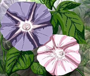 Kwiaty, Petunie, Grafika 2D