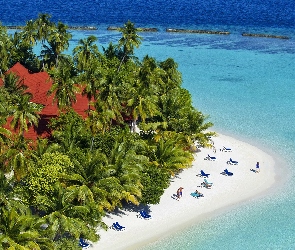 Tropiki, Wyspa Vihamanaafushi, Hotel Kurumba Maldives, Wakacje, Plaża, Morze, Palmy, Malediwy