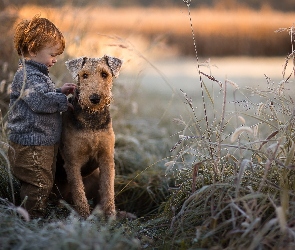 Airedale terrier, Trawy, Trzciny, Chłopiec, Pies