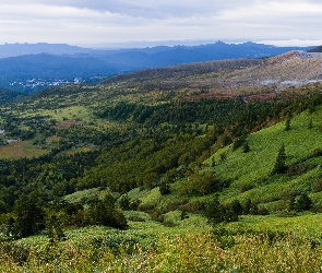 Łąki, Lasy, Wzgórza, Góry