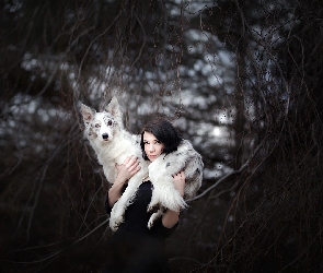 Kobieta, Gałęzie, Border collie, Pies